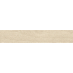 LENOX HAYA MAT 20X120 REKT. GAT.1 (P.80227)