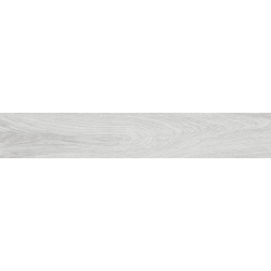LENOX GRIS MAT 20X120 REKT. GAT.1 (P.80199)