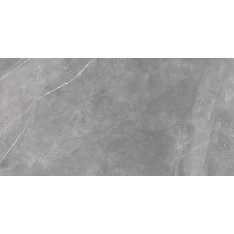 MAGDA GRIS MAT 60X120 REKT. GAT.1 (P.80107)