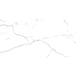 NILO BLANCO POLER 60X120...