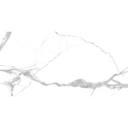 NILO BLANCO MAT 60X120 REKT. GAT.1 (P.79767)