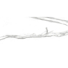 NILO BLANCO MAT 30X60 REKT. GAT.1 (P.79763)