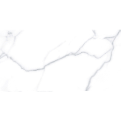 NUM BLANCO POŁYSK 25X50 GAT.1 (P.79747)