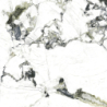 OYAMA GREEN SUPERPOLISHED 120X120 REKT. GAT.1 (P.79707)
