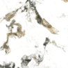 OYAMA AMBAR SUPERPOLISHED 120X120 REKT. GAT.1 (P.79675)