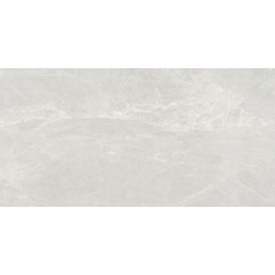 PERSA GRIS MAT 60X120 REKT....