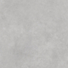 REGGIO GRIS MAT 60X60 REKT. GAT.1 (P.79901)