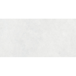 REGGIO PERLA MAT 60X120...