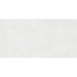 REGGIO PERLA MAT 60X120 REKT. GAT.1 (P.79935)