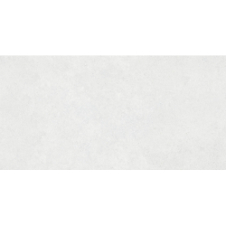 REGGIO PERLA MAT 60X120 REKT. GAT.1 (P.79935)