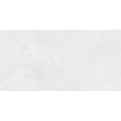 REGGIO PERLA MAT 60X120 REKT. GAT.1 (P.79935)