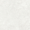 RODEN BLANCO MAT 60X60 REKT. GAT.1 (P.79909)
