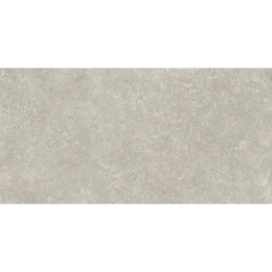 RODEN BEIGE MAT 60X120...