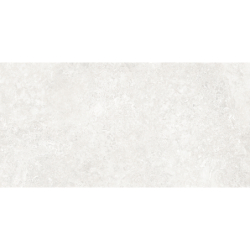 RODEN BLANCO MAT 60X120...