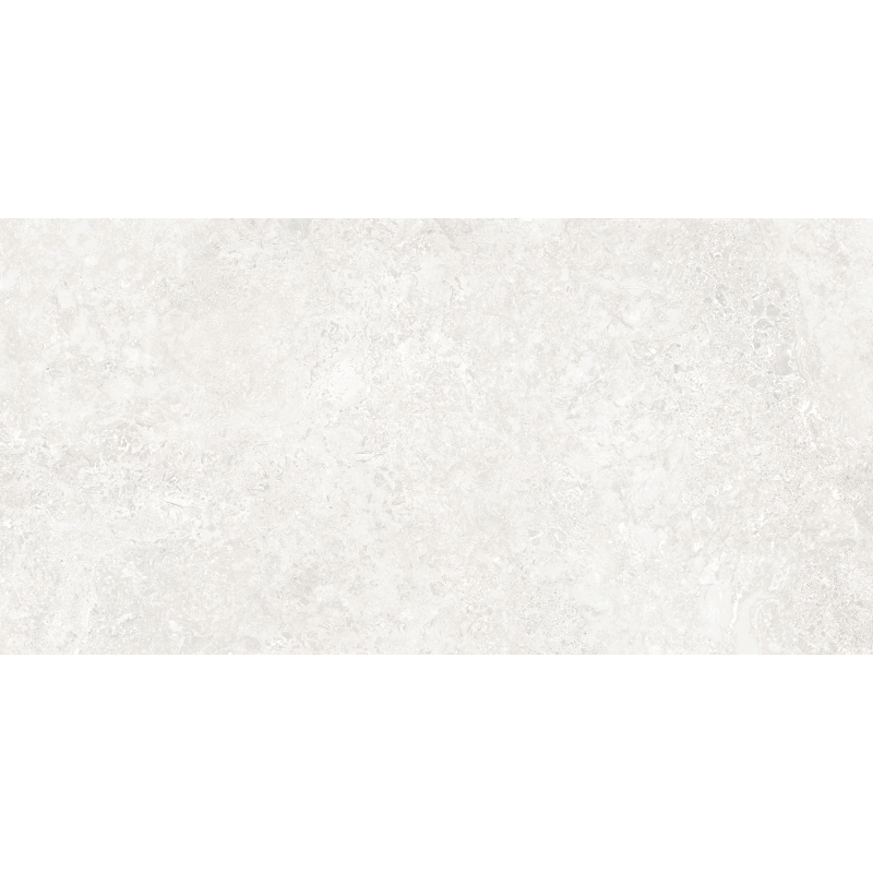 RODEN BLANCO MAT 60X120 REKT. GAT.1 (P.79863)