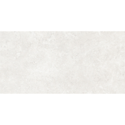 RODEN BLANCO MAT 60X120 REKT. GAT.1 (P.79863)
