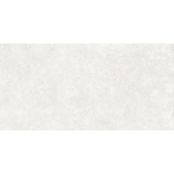 RODEN BLANCO MAT 60X120 REKT. GAT.1 (P.79863)