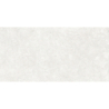 RODEN BLANCO MAT 60X120 REKT. GAT.1 (P.79863)