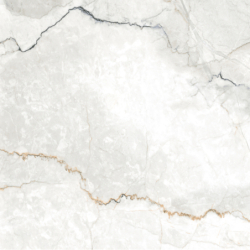 SAUVAGE PEARL POLER 60X60 REKT.  GAT.1 (P.79801)