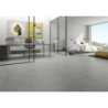 SENA GRIS MAT 60X60 REKT.  GAT.1 (P.79843)