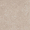 SENA TAUPE MAT 60X60 REKT.  GAT.1 (P.79839)
