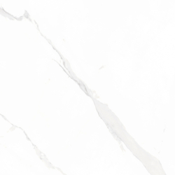 STATUARY BLANCO POLER 60X60 REKT. GAT.1 (P.78189)