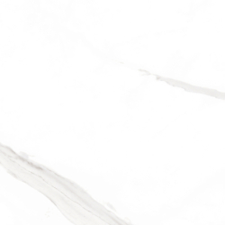 STATUARY BLANCO POLER 60X60 REKT. GAT.1 (P.78189)