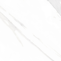 STATUARY BLANCO MAT 60X60...