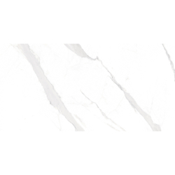 STATUARY BLANCO MAT 60X120...