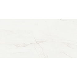 SWING BLANCO POLER 60X120 REKT. GAT.1 (P.78239)