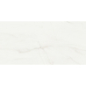 SWING BLANCO POLER 60X120 REKT. GAT.1 (P.78239)