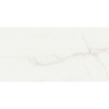 SWING BLANCO POLER 30X60 REKT. GAT.1 (P.78237)