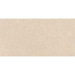 ASTRA ARENA 60X120 REKT. GAT.1 (P.78139)