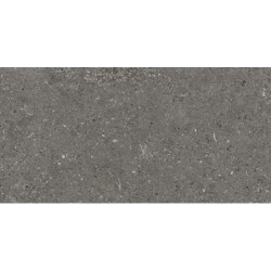 ASTRA GRIS 30X60 REKT. GAT.1 (P.78163)