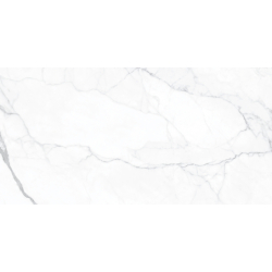 ARTEMISA BLANCO POLER...