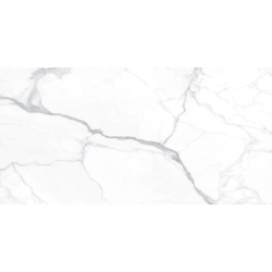 ARTEMISA BLANCO POLER 60X120 REKT. GAT.1 (P.78337)