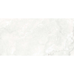 AURIS BLANCO MAT 60X120...