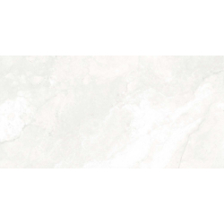 AURIS BLANCO MAT 60X120 REKT. GAT.1 (P.78369)