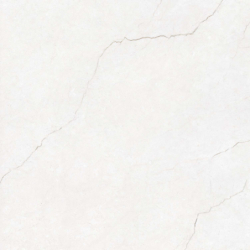 AVORIO WHITE MAT 120X120 REKT. GAT.1 (P.78397)