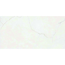 AVORIO WHITE MAT 60X120 REKT. GAT.1 (P.78393)