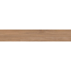 BORNEO MIEL MAT 20X120 REKT. GAT.1 (P.78329)