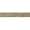 BYRON XT TAN MAT 20X120 REKT.  GAT.1 (P.78277)