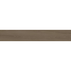 BYRON XT TEKA MAT 20X120 REKT.  GAT.1 (P.78275)