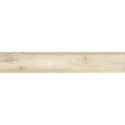 DIXIE XT ALMOND MAT 20X120...