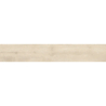 DIXIE XT ALMOND MAT 20X120 REKT. GAT.1 (P.78097)