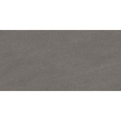 EDDYSTONE GRIS MAT 60X120 REKT. GAT.1 (P.77871)