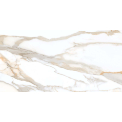 ICARO GOLD POLER 60X120...