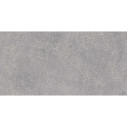 MEMORY GRIS MAT 60X120...