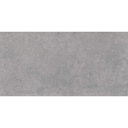 MEMORY GRIS MAT 60X120 REKT. GAT.1 (P.78033)