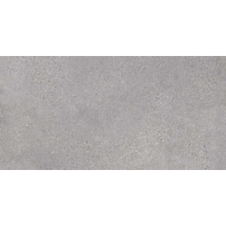 MEMORY GRIS MAT 60X120 REKT. GAT.1 (P.78033)